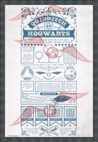 Framed Framed Rough Game, Quidditch - Harry Potter