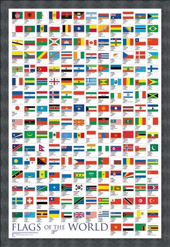 Framed Framed Flags Of The World - Educational