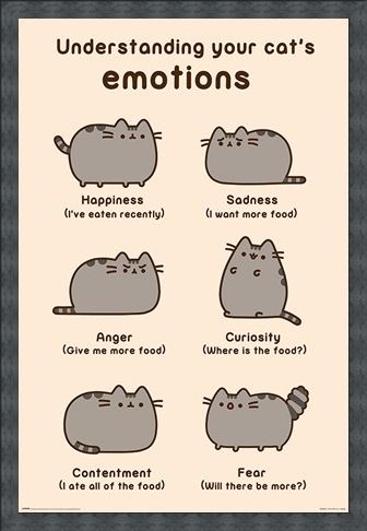 Framed Framed Cats Emotions - Pusheen