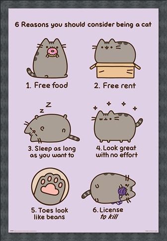 Framed Framed Reasons To Be A Cat - Pusheen