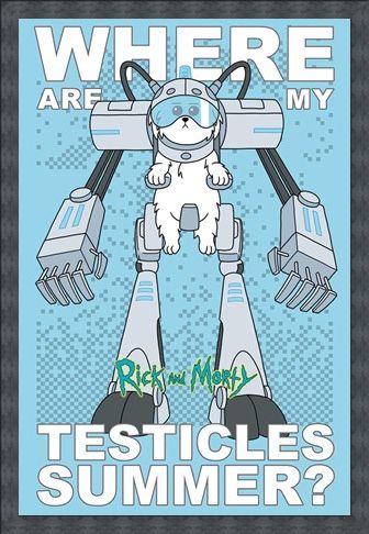 Framed Framed Where Are My Testicles - Rick and Morty