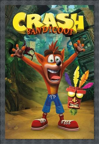 Framed Framed Crash and Aku Aku - Crash Bandicoot