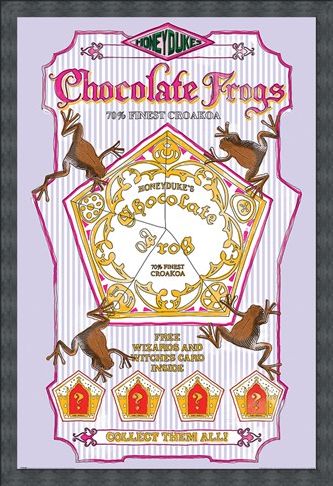 Framed Framed Honeydukes Chocolate Frogs - Harry Potter