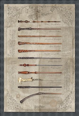 Framed Framed The Wand Chooses The Wizard - Harry Potter