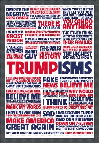Framed Framed Trumpisms - President Trump