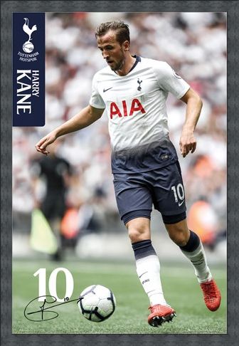 Framed Framed Kane 18-19 - Tottenham Hotspur