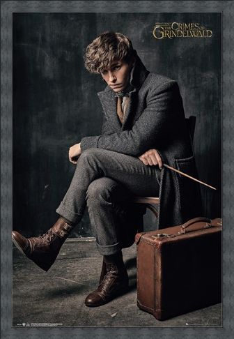 Framed Framed Newt Scamander - Fantastic Beasts 2