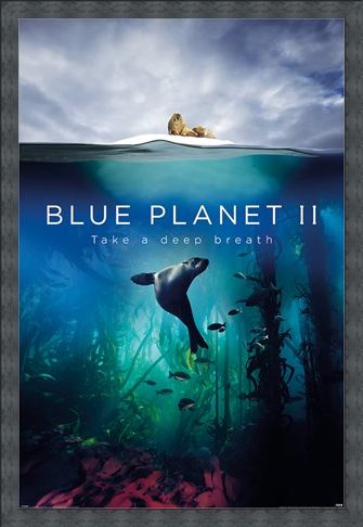 Framed Framed Take A Deep Breath - Blue Planet 2