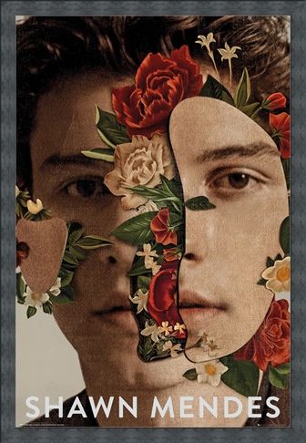 Framed Framed Flowers - Shawn Mendes