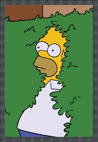 Framed Framed Homer Bush - The Simpsons