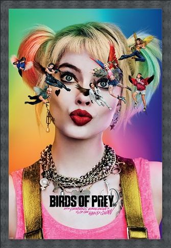 Framed Framed Seeing Stars - Birds Of Prey