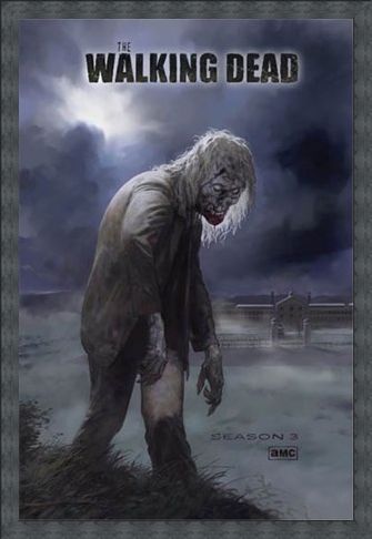 Framed Framed Flesh Eating Walker! - The Walking Dead