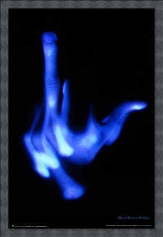 Framed Framed The Finger - David Wilhelm