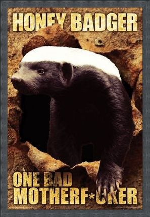 Framed Framed One Bad Mother F*cker - Honey Badger