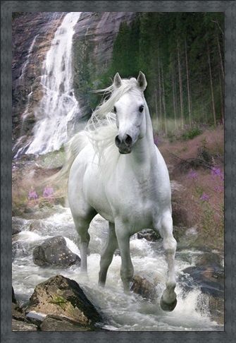 Framed Framed Horse in a Waterfall - Bob Langrish