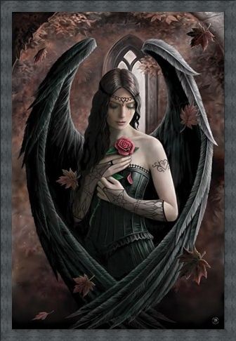 Framed Framed Angel Rose - Anne Stokes