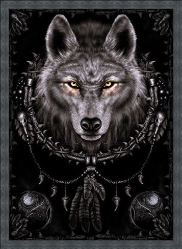 Framed Framed Wolf Dreams - Spiral