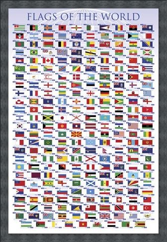 Framed Framed Flags of the World - Educational Chart