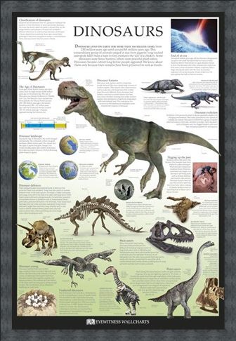 Framed Framed Dinosaurs - Dorling Kindersley