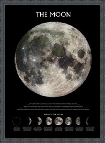 Framed Framed Phases of the Moon - The Moon