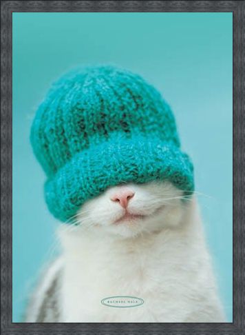 Framed Framed Guiness the Cat and Hat - Rachael Hale