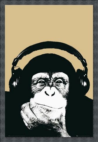 Framed Framed Monkey with Headphones - Steez