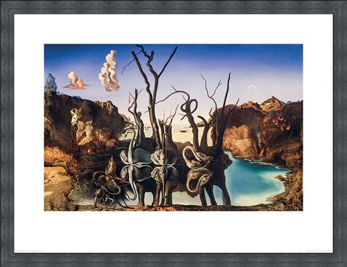 Framed Framed Swans Reflecting Elephants - Salvador Dali