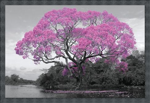Framed Framed Tree In Bloom - Natural Pink