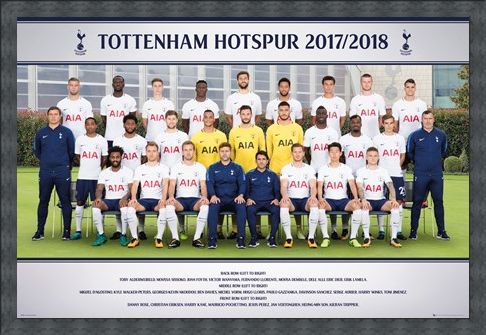 Framed Framed Photo 17-18 - Tottenham Team