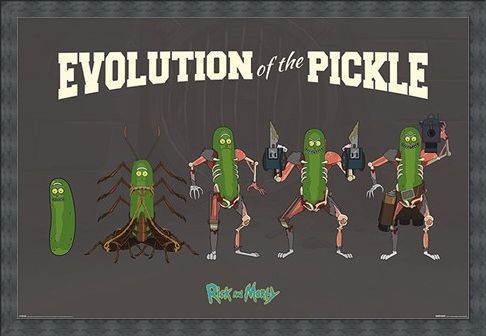 Framed Framed Evolution Of The Pickle - Rick and Morty