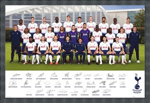 Framed Framed Team Poster 18-19 - Tottenham Hotspur