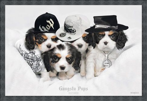 Framed Framed Gangsta Pups - Keith Kimberlin