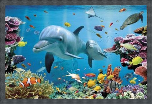 Framed Framed Underwater Dolphin Fantasy - Tropical Dolphins