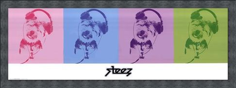 Framed Framed DJ Doggie Quad - Steez
