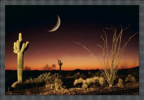Framed Framed Desert Silhouette - Arizona Landscape