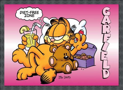 Framed Framed Diet Free Zone - Garfield
