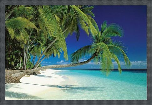Framed Framed Maldives Beach and Sea - Palm Trees on a Tropical Island Paradise