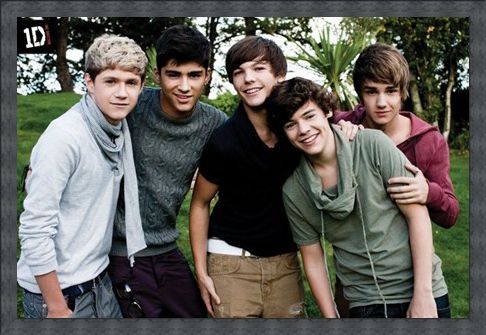 Framed Framed Beautiful Boys in the Garden - One Direction