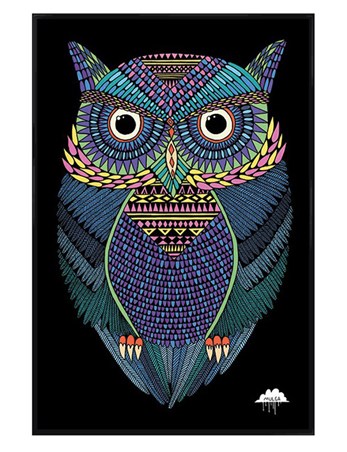 Gloss Black Framed Michael The Magical Owl - Mulga