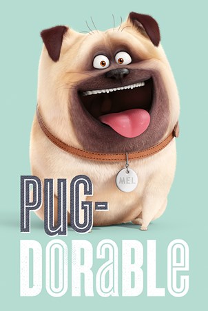 Pug-Dorable Mel - The Secret Life Of Pets