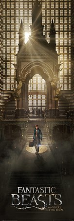 Magical Congress of the United States of America - Fantastic Beasts & Where To Find Them