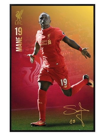 Gloss Black Framed Mane 16/17 - Liverpool FC