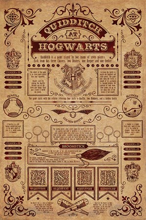 Quidditch At Hogwarts, Harry Potter Poster - Buy Online