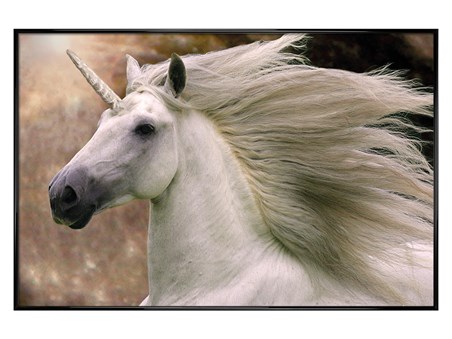 Gloss Black Framed Unicorn - Bob Langrish