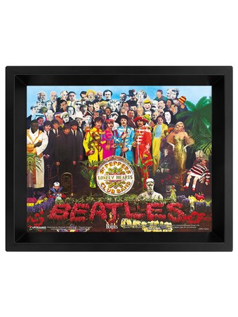 Sgt. Pepper 3D - The Beatles