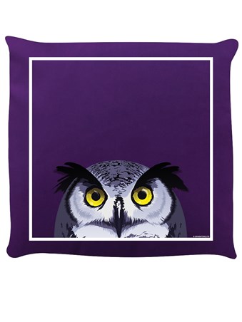 Bright-Eyed Owl, Inquisitive Creatures