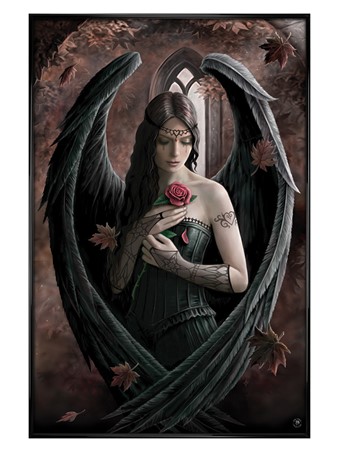 Gloss Black Framed Angel Rose - Anne Stokes