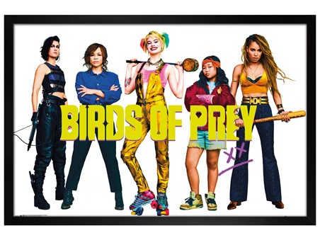 Black Wooden Framed Group - Birds of Prey