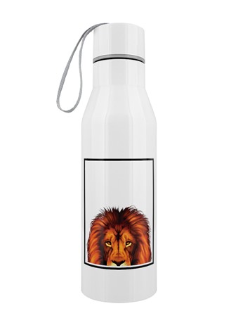 Lion - Inquisitive Creatures