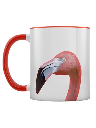 Flamingo - Inquisitive Creatures